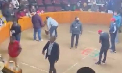 Lanzan granada en pelea de gallos